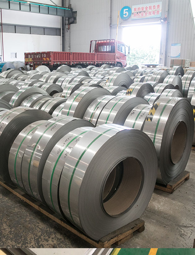 Stainless Steel Strip